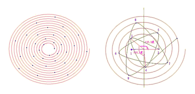 1637804325853688.png